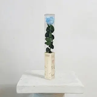Rosa Azul Celeste Preservada Eterna