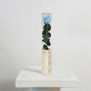 Rosa Azul Celeste Preservada Eterna