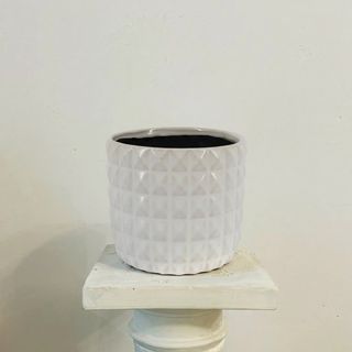 Maceta Turijn Blanca