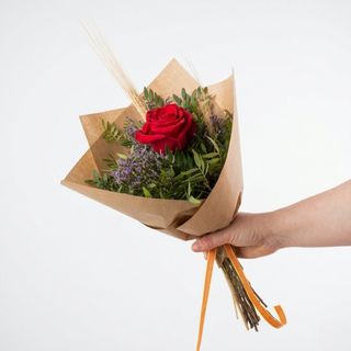 Ramo de 1 Rosa Roja Esencia - Sant Jordi