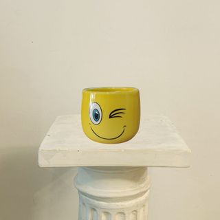 Maceta Especial Emoji Guiño
