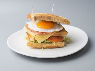 Sándwich Especial