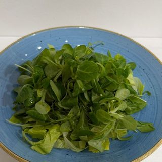 insalata verde