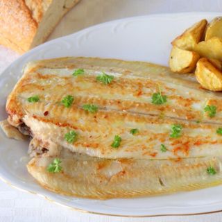 LENGUADO