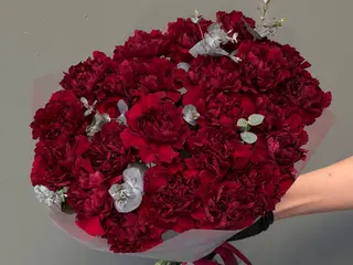 Claveles Rojos