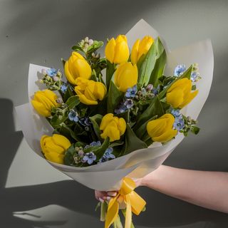 Tulipanes con oxypetalum