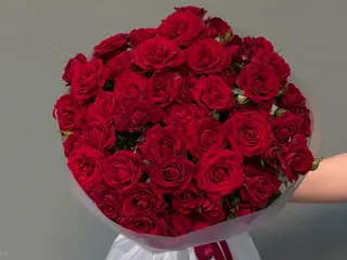 Mini Rosa Roja
