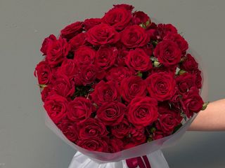Mini Rosa Roja