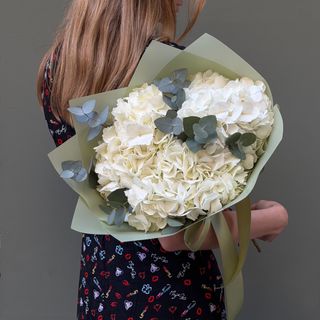 Hortensia Blanca
