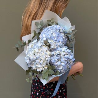 Hortensia Azul