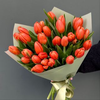 25 Tulipanes Naranjas