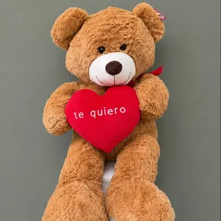Peluche Oso Grande