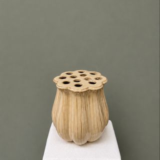 Jarrón Lotus Crema