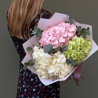 Hortensia Mix