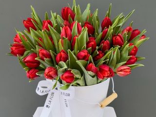 Tulipanes rojos en cubo