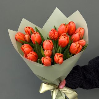 15 Tulipanes Naranjas