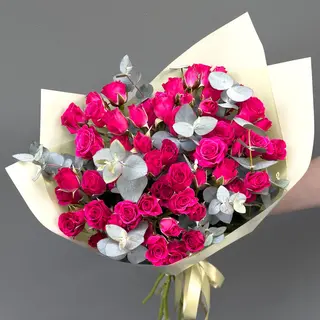 10 Rosas pitimini fucsia