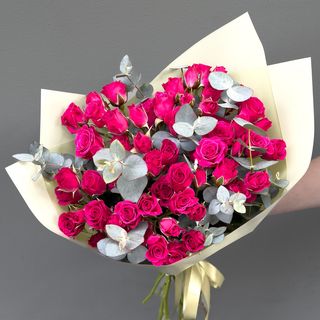 10 Rosas pitimini fucsia