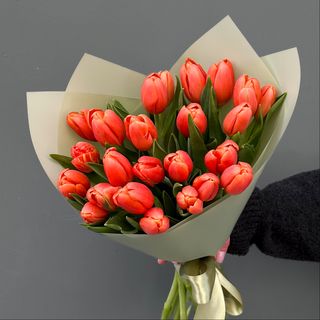 20 Tulipanes Naranjas