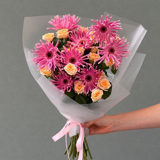 Gerbera Rosa