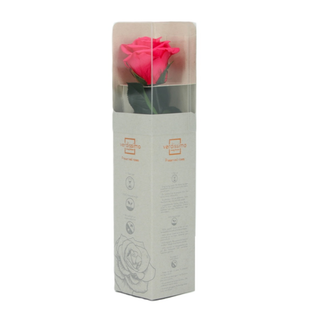 Rosa Preservada Fuxia