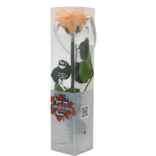 Rosa Preservada Melocotón 