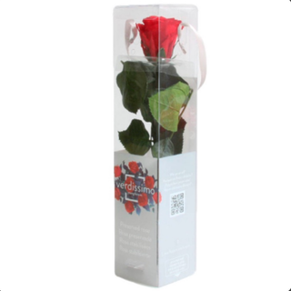 Rosa Preservada Roja 