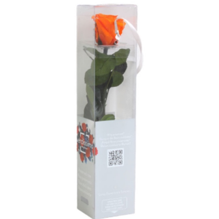 Rosa Preservada Naranja 