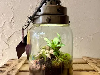 Terrario grande con luz