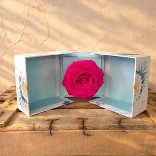 Rosa FUCSIA  grande preservada