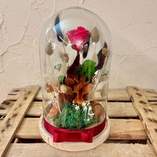 LA CÚPULA GRANDE CON ROSA ROJA