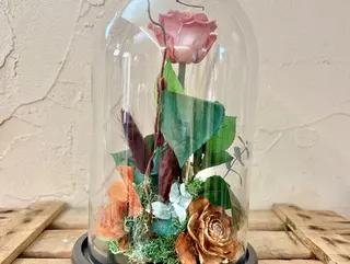 La cúpula con rosa rosa eterna