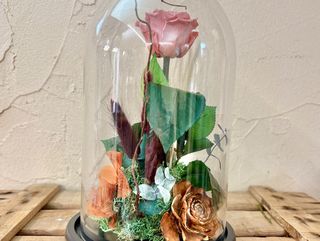 La cúpula con rosa rosa eterna