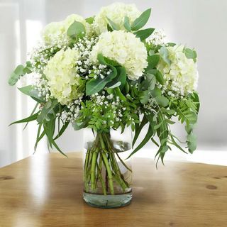 Ramo de 5 hortensias blancas