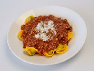 Bolognesa