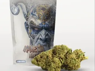 Amnesia Haze 10g