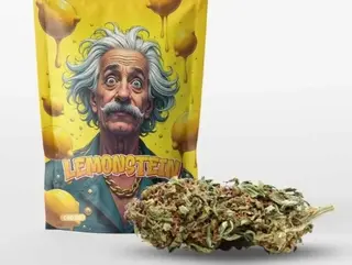 Lemonstein 10g