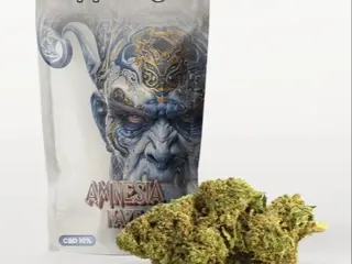 Amnesia Haze 5g
