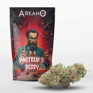 Pasteur's Berry Indoor 2g