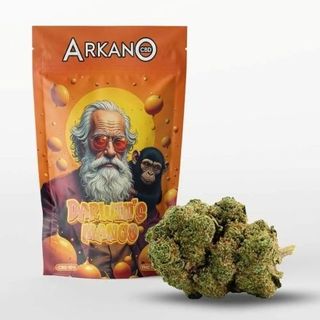 Darwin Mango Indoor 5g