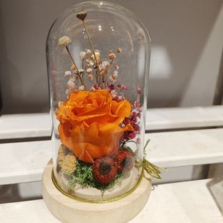 Cúpula rosa preservada "naranja"