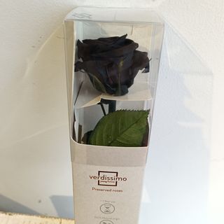 Rosa preservada tallo corto NEGRA
