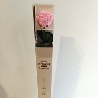 Rosa Preservada en Caja ROSA CLARO
