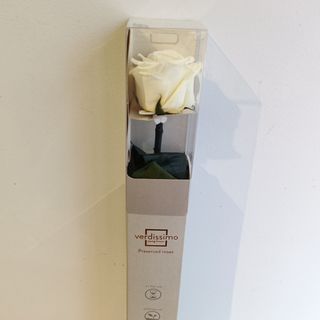 Rosa Preservada en Caja BLANCO CREMOSO