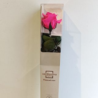 Rosa Preservada en Caja ROSA FUCSIA
