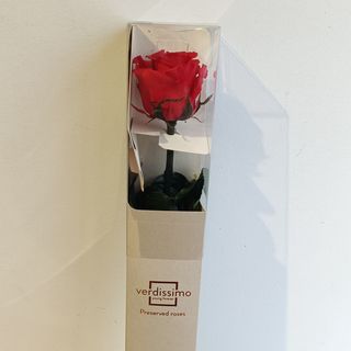 Rosa Preservada en Caja ROJO