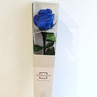 Rosa Preservada en Caja AZUL OSCURO