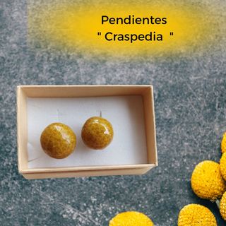 Pendientes " Craspedia "