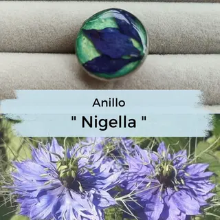 Anillo " Nigella "