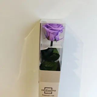 Rosa Preservada en Caja LILA